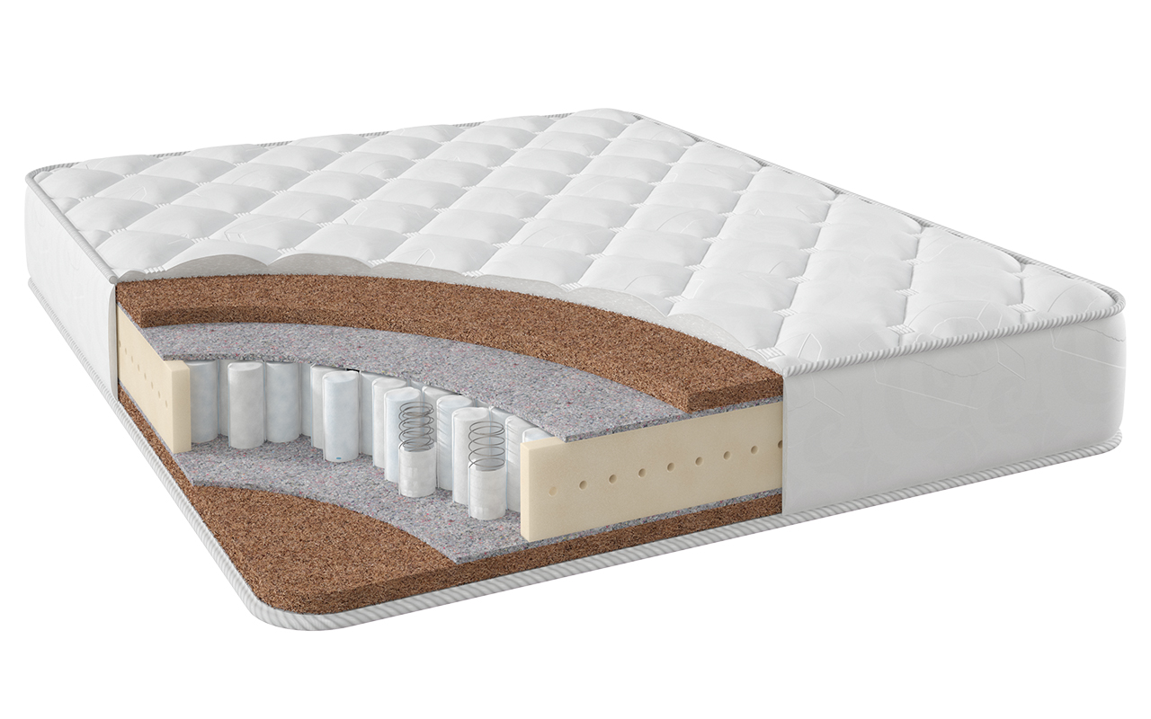 Stories Классик Орто ТФК